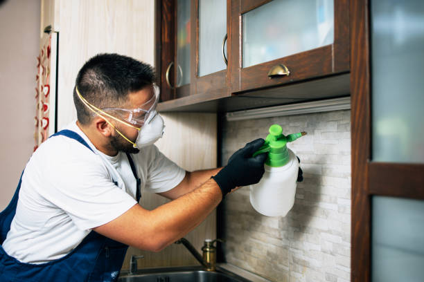 Pest Control for Restaurants in Bealeton, VA