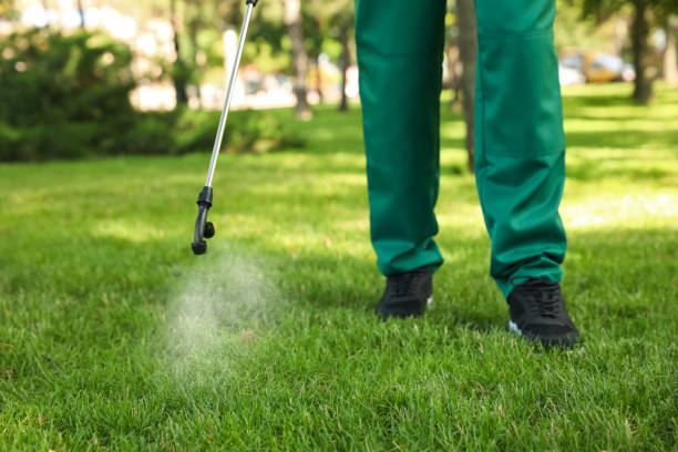 Best Pest Control Near Me in Bealeton, VA