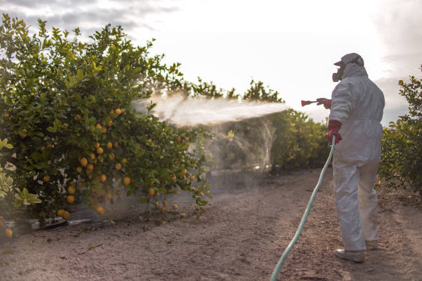 Best Commercial Pest Control Services  in Bealeton, VA