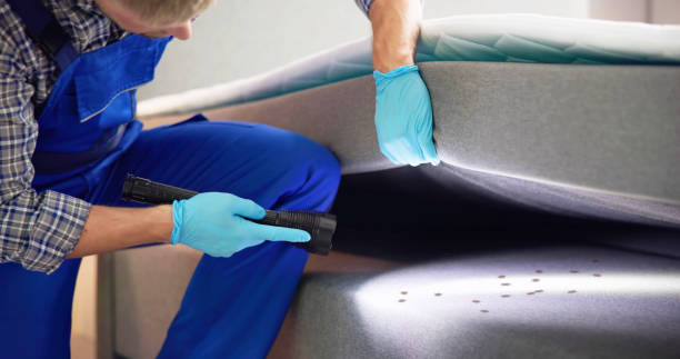 Best Exterminator Services  in Bealeton, VA