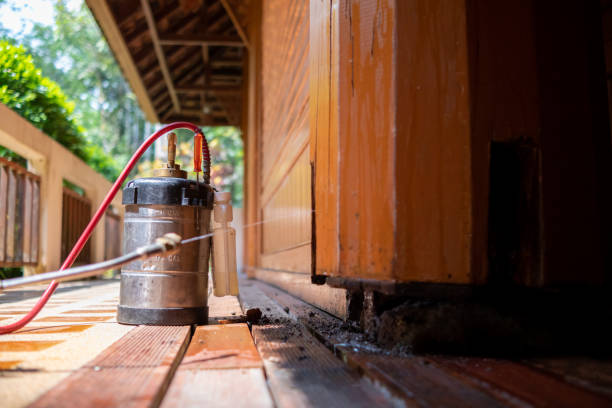 Best Rat Extermination Near Me  in Bealeton, VA