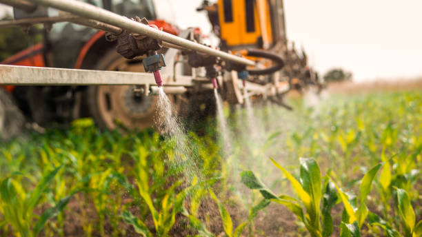 Best Mosquito Control Services  in Bealeton, VA